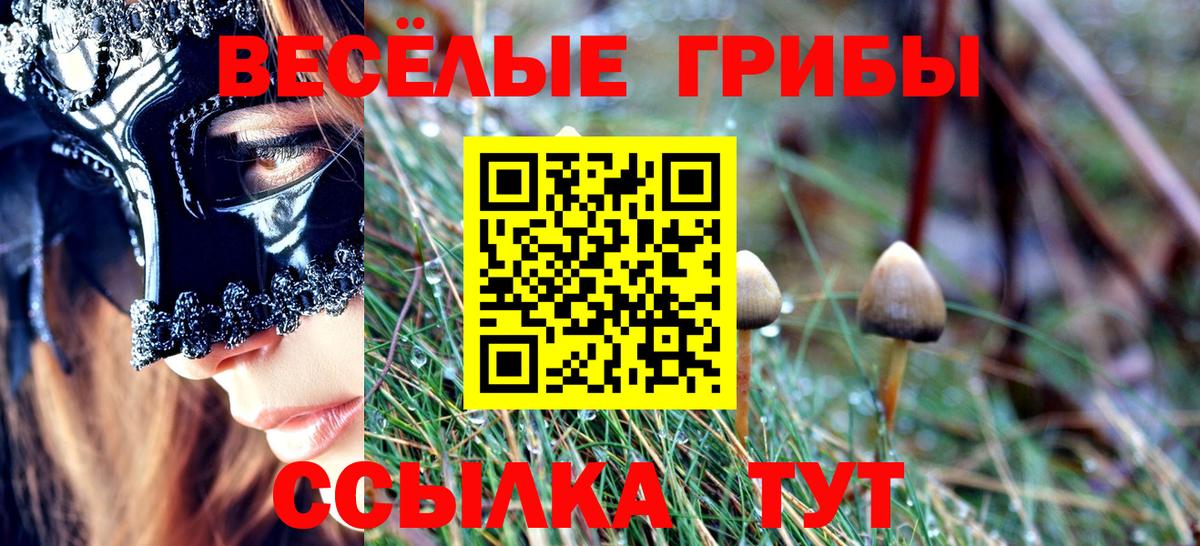 Ессентуки  Псилоцибиновые грибы Cubensis  Вход с VPN 